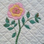 Dream Garden Block 15
