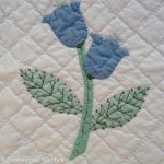 Dream Garden Block 9